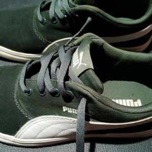 Puma Original Shoes