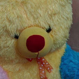 Double Coloured Teddy Bear