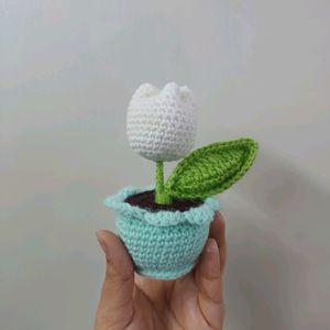 Cute Crochet Mini Flower Pot🌷