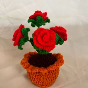 Roses Pot