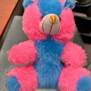 Pink And Blue Furry Teddy Bear