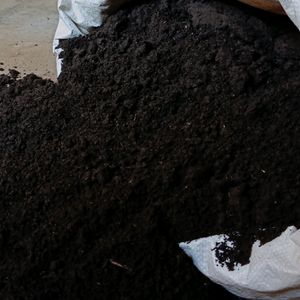 Compost