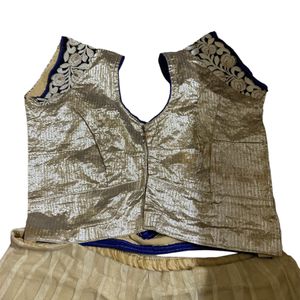 Beige Lehenga Choli