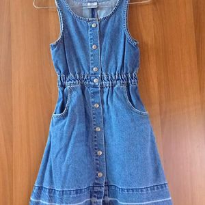 Zara Denim Dress