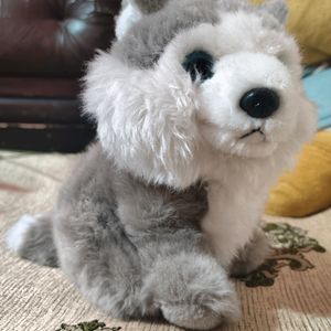 Husky Dog Plush