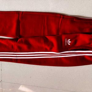 Men's Jogger Adidas Logo Embroidery