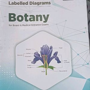 Diagram Book Of Zoology And Botany For Neet