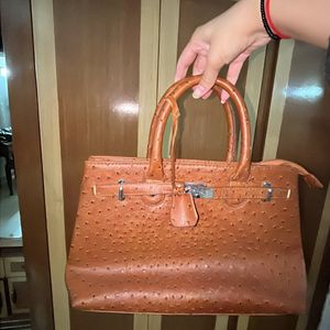 Crocodile Leather Purse