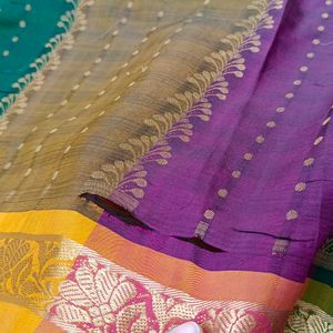 pure Kanchi pattu saree