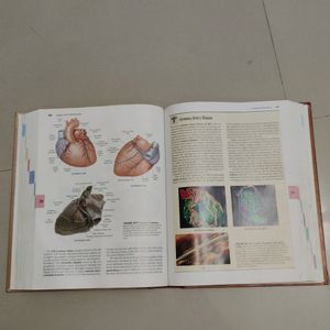 Martini Fundamentals Of Anatomy & Physiology Book