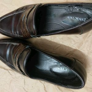 INVICTUS signature Men Coffee brown soild penny Lo