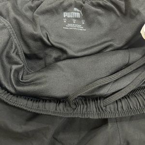 PUMA Shorts (Original)