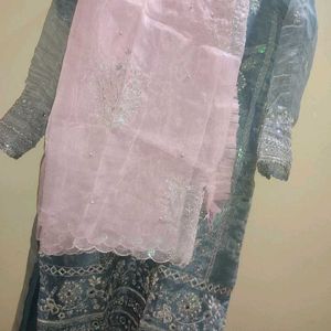 New Organza Kurta Set