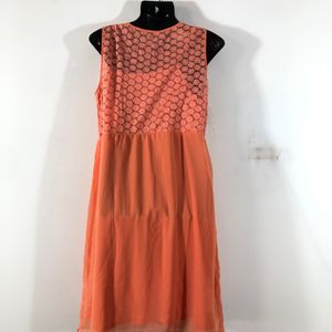 Coral AND Branded Dress