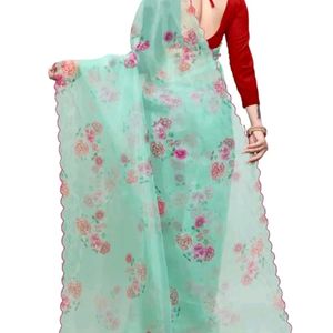 Beautiful Organza Saree