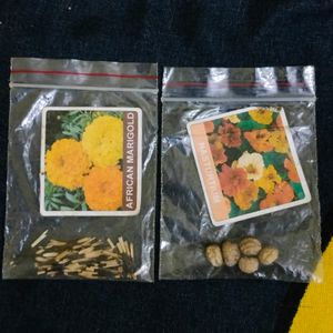 Summer Season Flower Seeds Combo