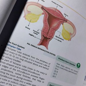 Human Reproduction Printed Notes Unacademy