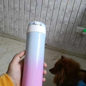 Dubblin Ombre Efect Bottle Blue/Purple/Pink Colour