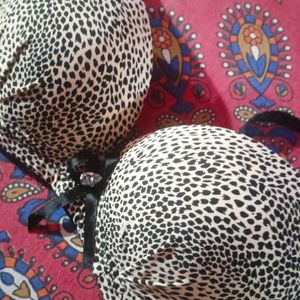 Leopard Print Padded Bra