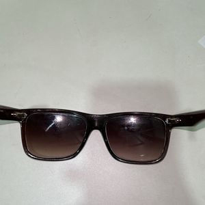 Fastrack Sunglasses For Men