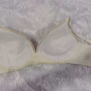 Seamless Back Padded Bra