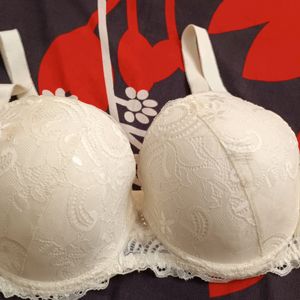 Padded Bra..40C