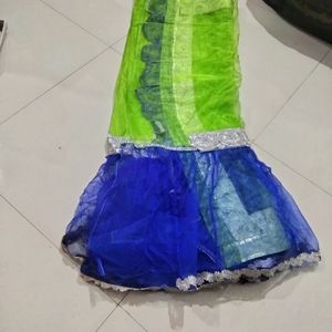 Blue N Green Combination Saree With Silver Bolouse