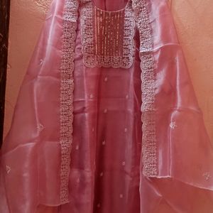 Completely New Pakistani Style Organza Suit