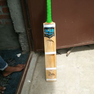 Kashmir Willow Bat