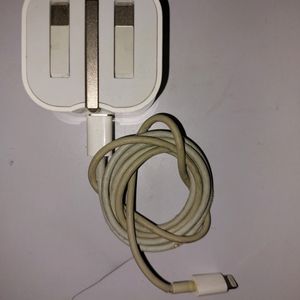 Apple Original Charger