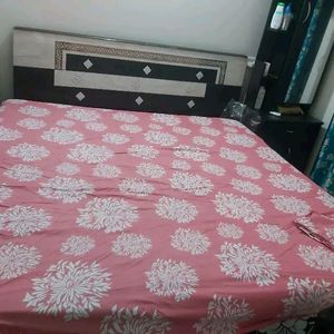 Elastic Fitted Bedsheet With 2 Pillow Cover