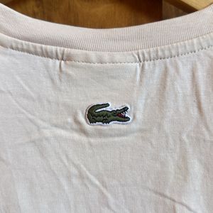 Original Lacoste T Shirt For Mens