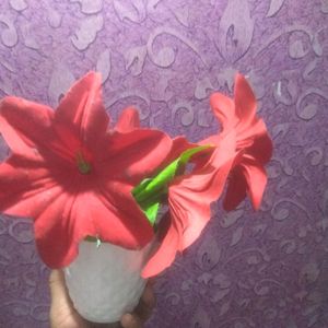 New Rose Red Flower Pot On Cheapest Price ❣️