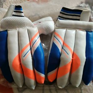 Cricket Hand Gloves