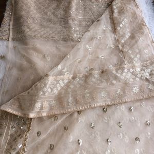 Nude Net Sequence Embroidered Saree (Women)