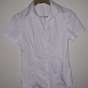 Fitted Collared Shirt