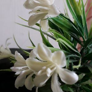 Artificial White Flowers Plant