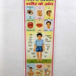 Learning Chart For Kids