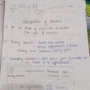 Class 11th Botany Pw Handwritten Notes