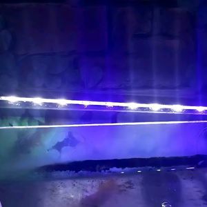 White & Blue LED Submersible Aquarium Light.