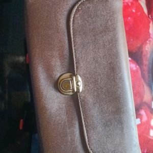 Brown Hand Purse