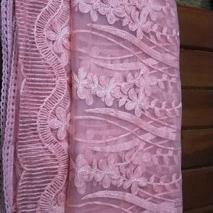 Net Embroidery  Dupatta