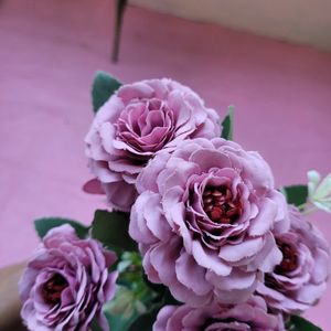 Lavender Flower Bunches