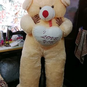 Very Big Huggable Soft Teddy Bear (5 Feet)