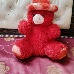 Red Teddy