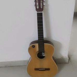 Hobner Guitar