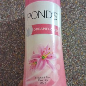 Pond's Dreamflower