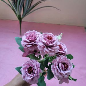 Lavender Flower Bunches