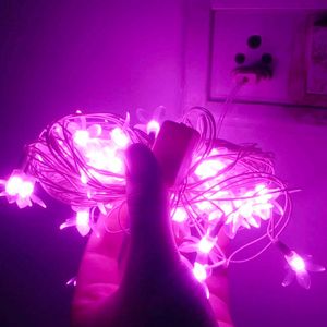 Brand New Flowers Led Series For Decoration | 40Fe