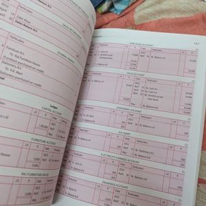 Class 11 Double Entry System Book.